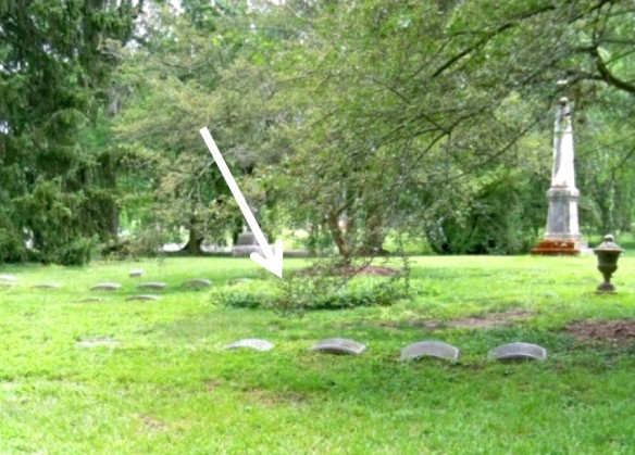 Figure 12: Section 45, Lot 12, Spring Grove Cemetery, June 25, 2014. Courtesy of Jo Roth.